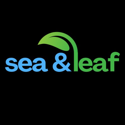Sea And Leaf